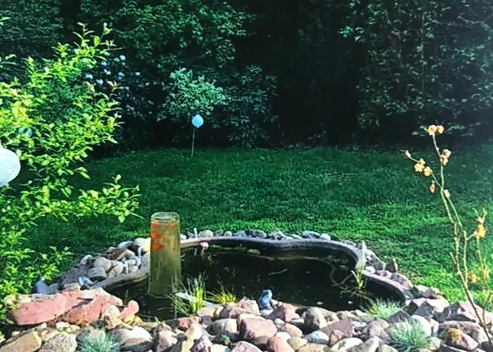 Daire Baumbergidyll *